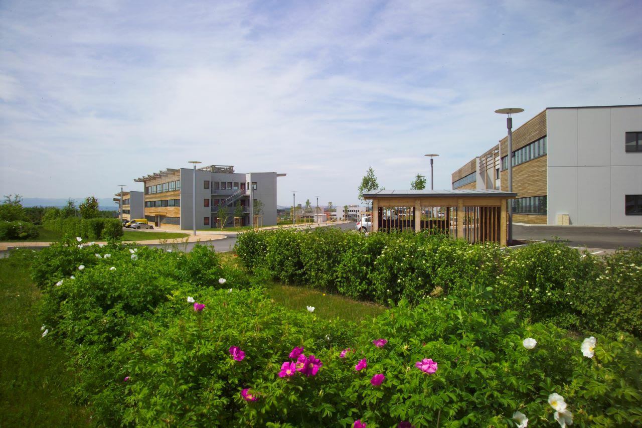 Bureau Saint-Priest 302m² Location bureau Saint-Priest Rhône OLBUR2109023 1